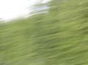 Priest Lake Area Photographs (946)