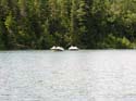 Priest Lake Area Photographs (950)