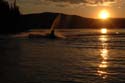 Priest Lake Area Photographs (97)