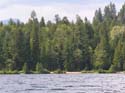 Priest Lake Area Photographs (982)