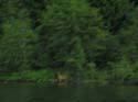 Priest Lake Area Photographs (992)
