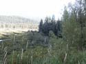 Priest Lake Scenes (147)
