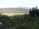 Priest Lake Scenes (148)