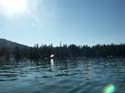 Priest Lake Scenes (182)