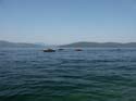 Priest Lake Scenes (23)