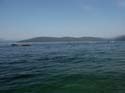 Priest Lake Scenes (24)