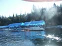 Priest Lake Scenes (244)