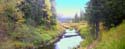 Rebel Creek 11