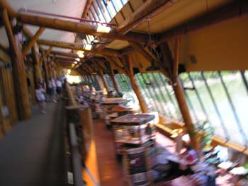 Sandpoint Area Photographs (93)