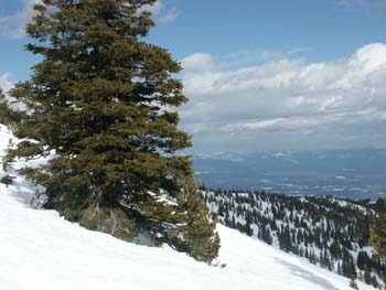 Sandpoint Photographs (101)