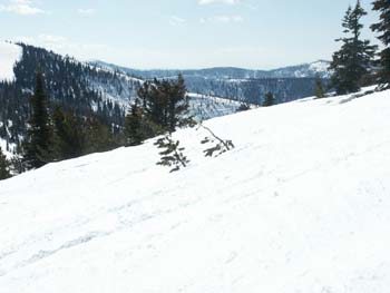 Sandpoint Photographs (46)