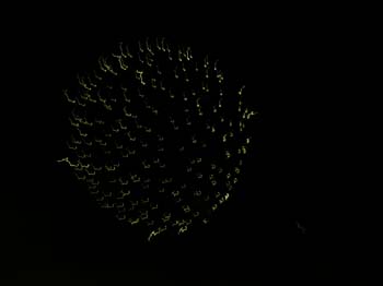 Schweitzer Fireworks (11)