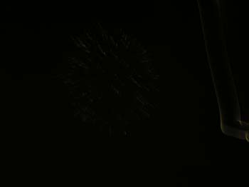 Schweitzer Fireworks (58)