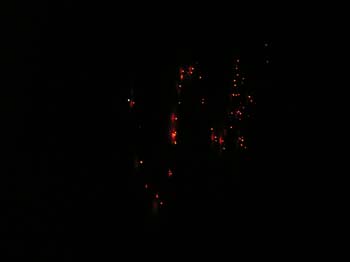 Schweitzer Fireworks (6)