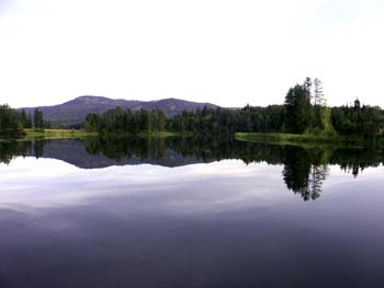 pond1