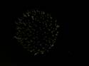 Schweitzer Fireworks (11)