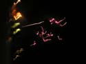 Schweitzer Fireworks (20)