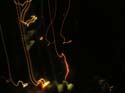 Schweitzer Fireworks (21)