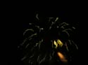 Schweitzer Fireworks (39)