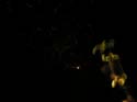 Schweitzer Fireworks (51)