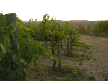 Spokane Area Photographs (106)