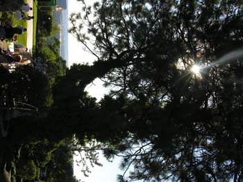 Spokane Area Photographs (16)