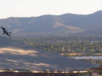 Spokane Area Photographs (56)
