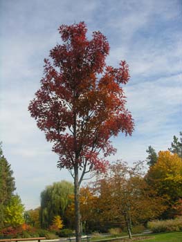 Spokane Photographs (102)