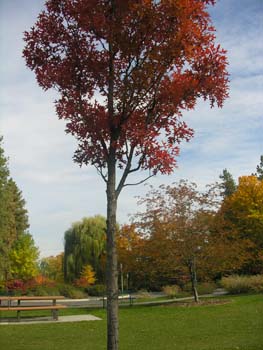 Spokane Photographs (104)