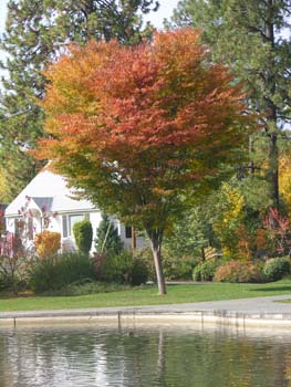 Spokane Photographs (106)