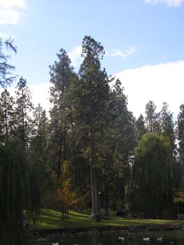 Spokane Photographs (108)