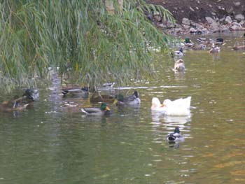 Spokane Photographs (110)