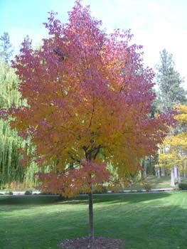 Spokane Photographs (113)