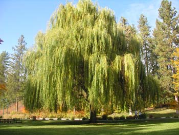 Spokane Photographs (115)