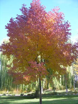 Spokane Photographs (117)