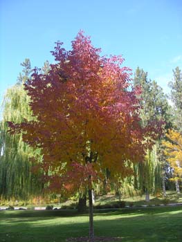 Spokane Photographs (118)