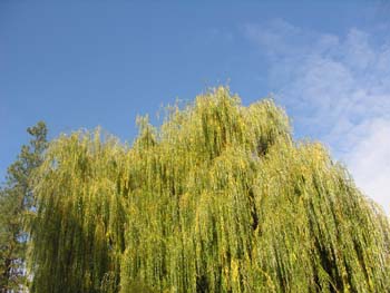Spokane Photographs (126)