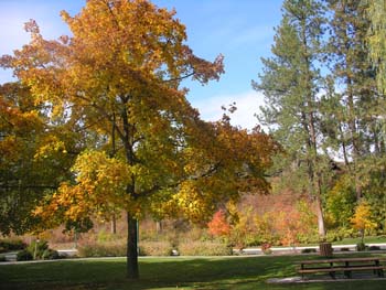 Spokane Photographs (127)