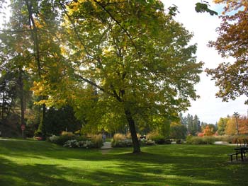 Spokane Photographs (139)