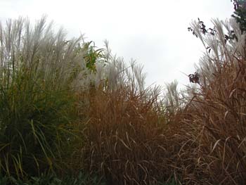 Spokane Photographs (153)
