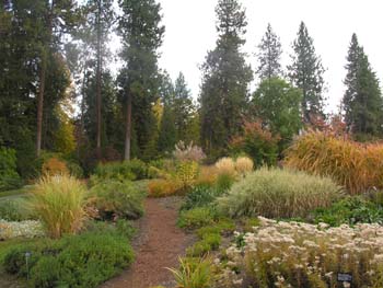 Spokane Photographs (158)