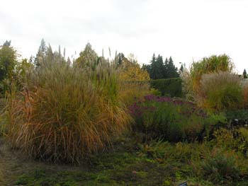 Spokane Photographs (160)