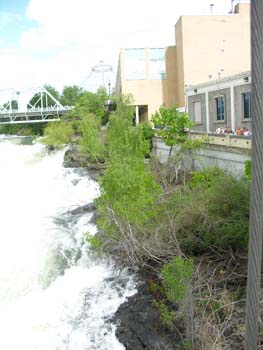 Spokane Photographs (261)
