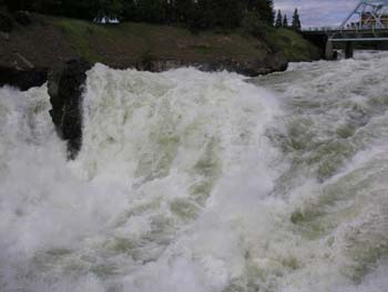 Spokane Photographs (263)