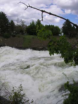 Spokane Photographs (269)