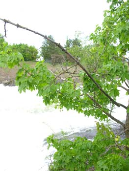 Spokane Photographs (270)