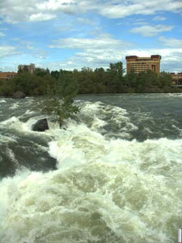 Spokane Photographs (284)