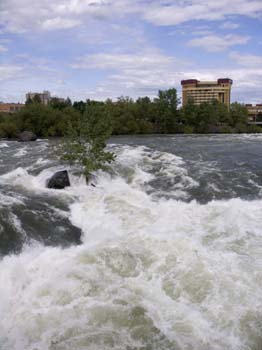 Spokane Photographs (285)