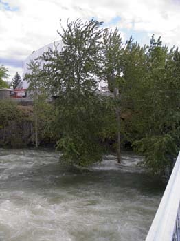 Spokane Photographs (291)
