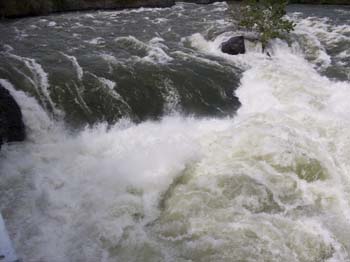 Spokane Photographs (296)